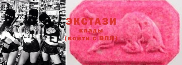 стаф Вязьма
