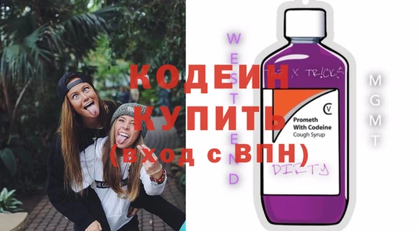 стаф Вязьма
