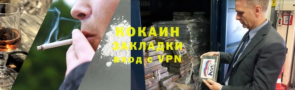 стаф Вязьма