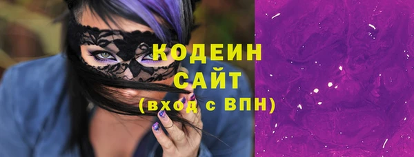 стаф Вязьма