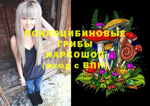 стаф Вязьма