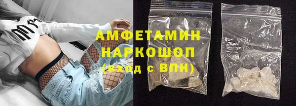 стаф Вязьма