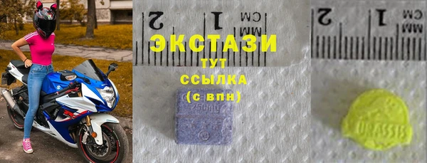 стаф Вязьма