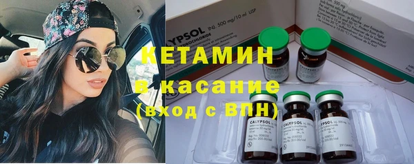 стаф Вязьма