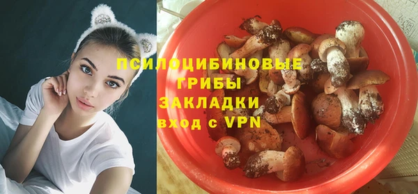 соль курить ск Вяземский