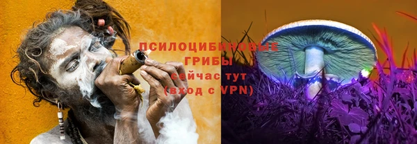 соль курить ск Вяземский