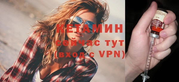 стаф Вязьма