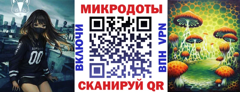 Галлюциногенные грибы Psilocybe  Купить где  Горнозаводск 